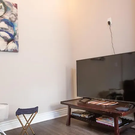 Cozy Studio In The Downtown/Montrose Area Apartment
